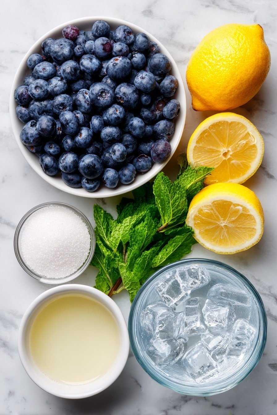Blueberry Soda Recipe - Ingredients Image — Blueberry Soda, homemade blueberry soda, blueberry sparkling drink, blueberry syrup drink, refreshing blueberry beverage