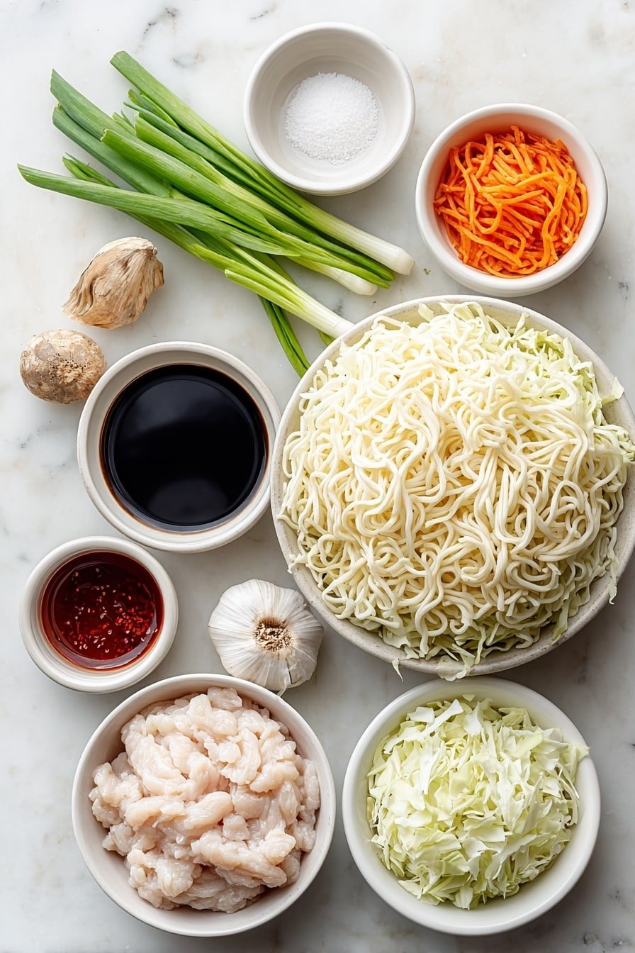 Shanghai Fried Noodles Recipe - Ingredients Image — Shanghai Fried Noodles, easy Chinese noodle stir-fry, quick Asian noodle recipe, savory noodle dish, weeknight Chinese dinner