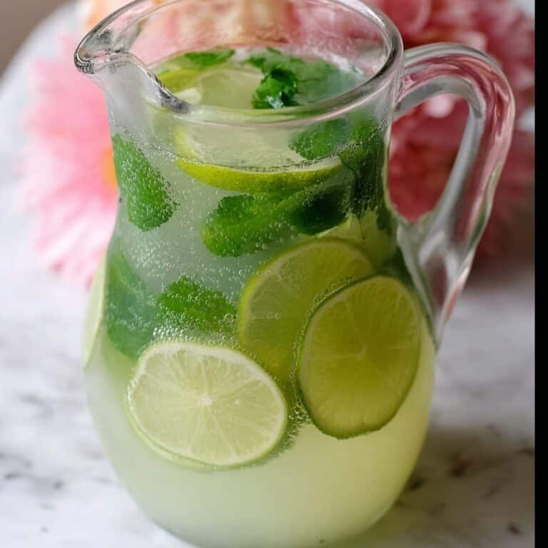 Sparkling Lime Mint Punch Recipe